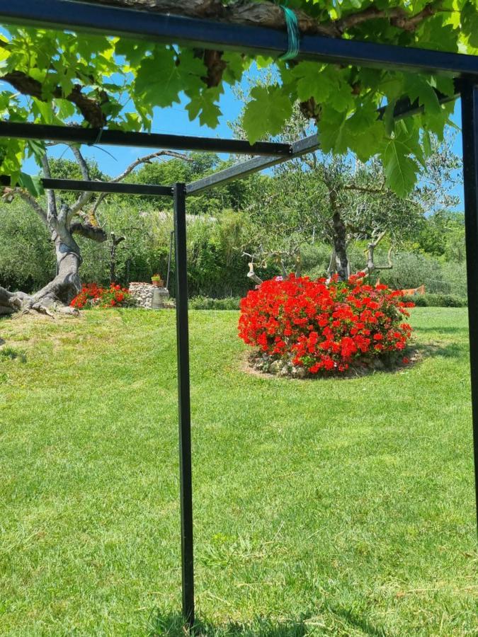 Agriturismo La Casa Dei Ricordi Collesalvetti Exterior foto